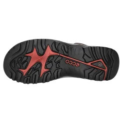 ecco Allwetterstiefel Warmfutter mit Funktionsmembran (wasserabweisend/wasserdicht) OFFROAD M