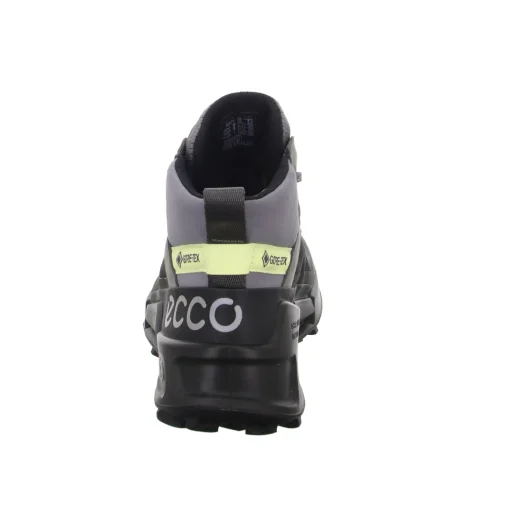 ecco Allwetterstiefel Warmfutter mit Funktionsmembran (wasserabweisend/wasserdicht) ECCO BIOM 2.1 X MOUNTAIN W