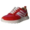 Tom Tailor Schnürhalbschuh Sneaker (sportlich)